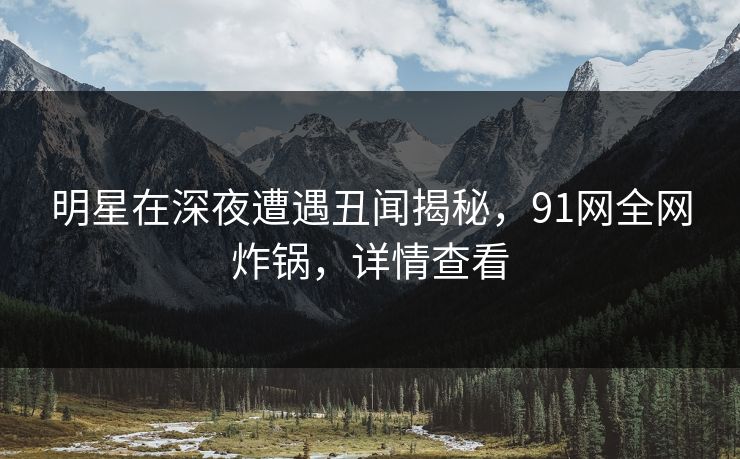 明星在深夜遭遇丑闻揭秘，91网全网炸锅，详情查看