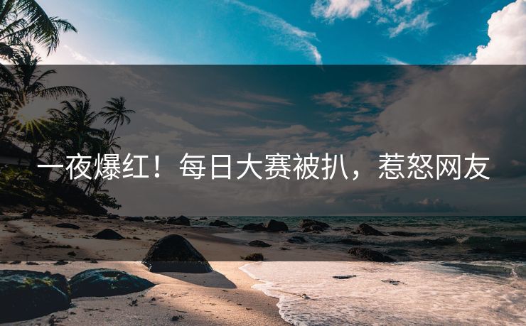 一夜爆红！每日大赛被扒，惹怒网友
