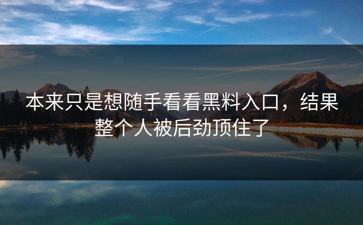本来只是想随手看看黑料入口，结果整个人被后劲顶住了